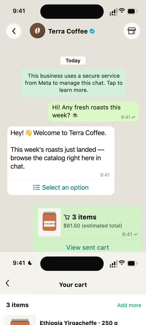 WhatsApp Flows mini app
